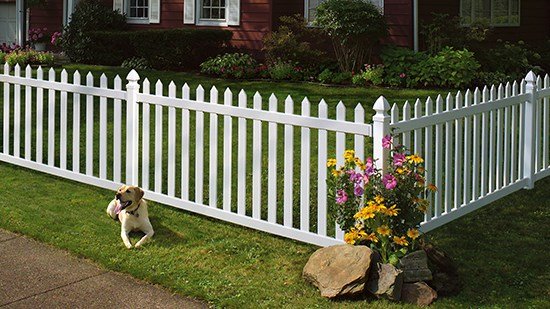 Wireless Fence Dec 04, · 41 reviews of Canine Company