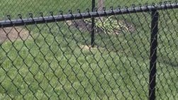 chain link