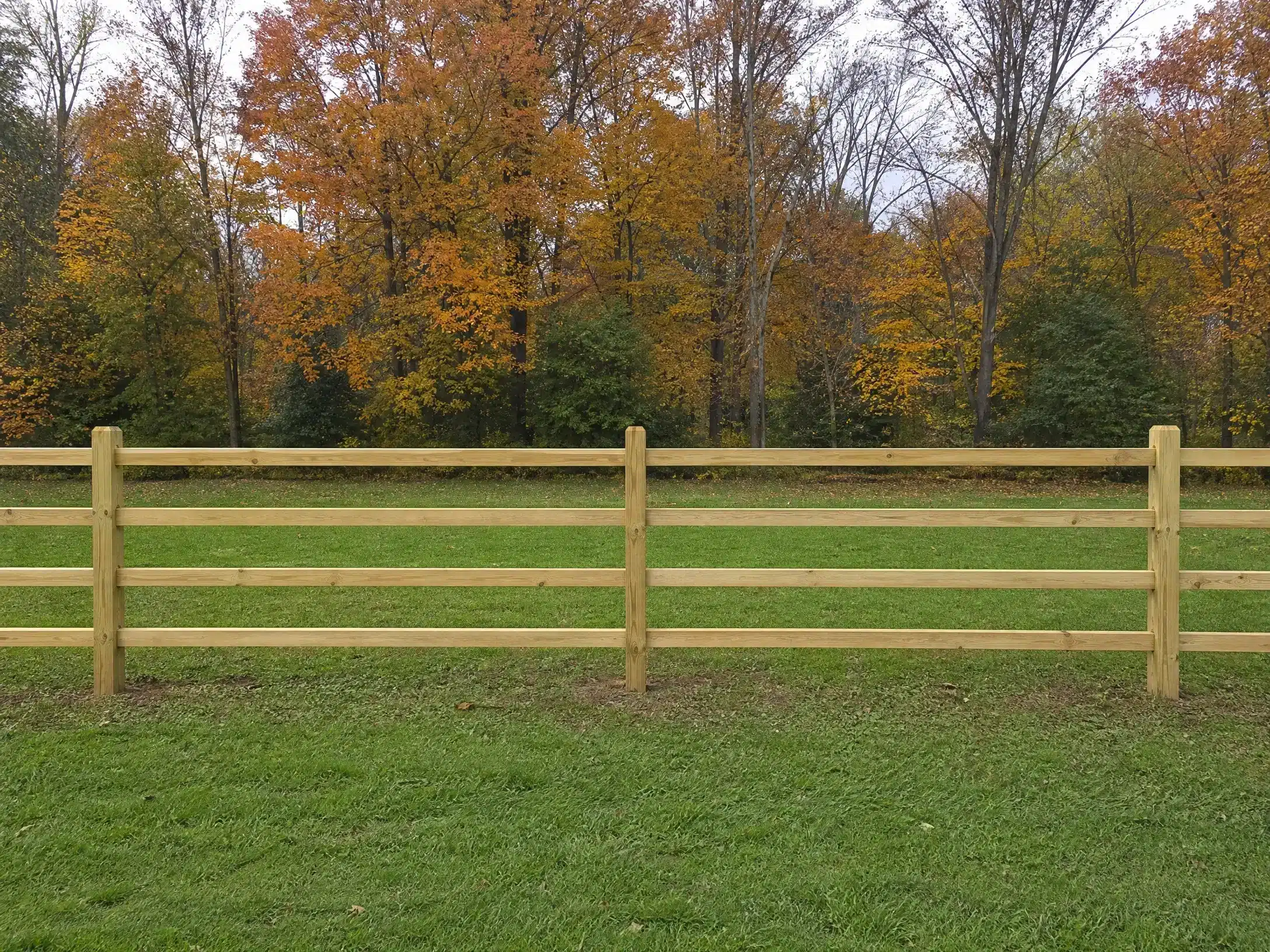 Four-rail ranch fence installed across a green lawn with autumn trees in Anne Arundel County, MD.