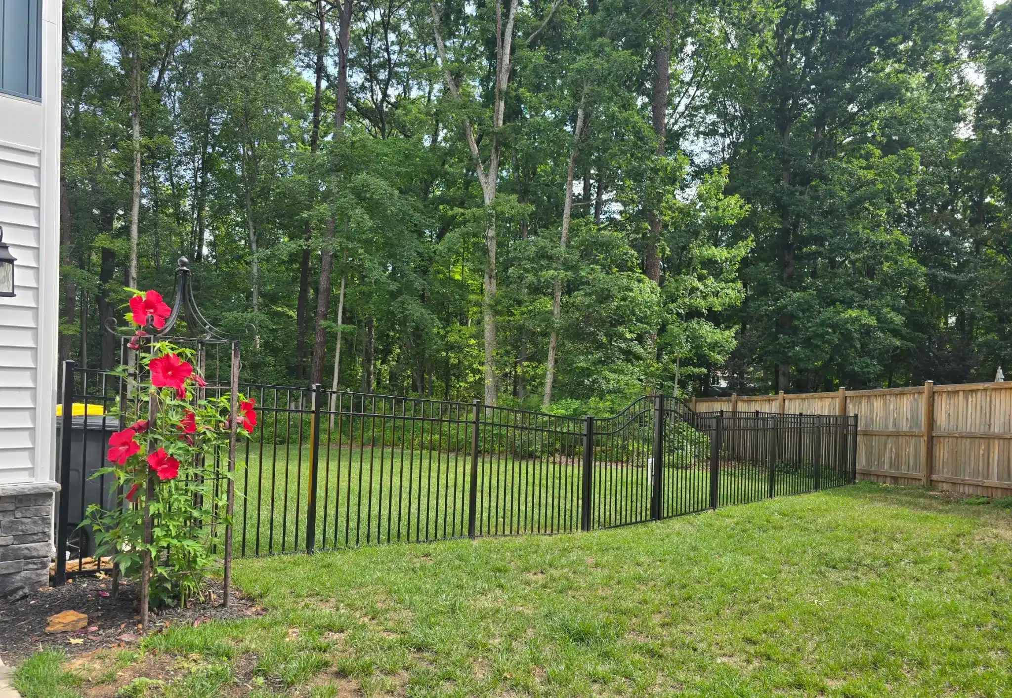 Black aluminum backyard fence with a curved gate near a wooded tree line in Pasadena, MD.