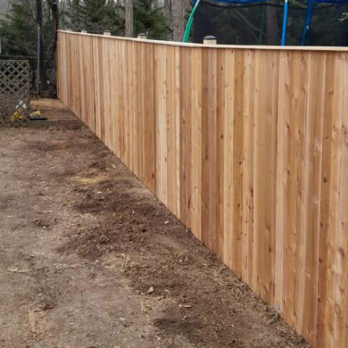 Privacy Cedar