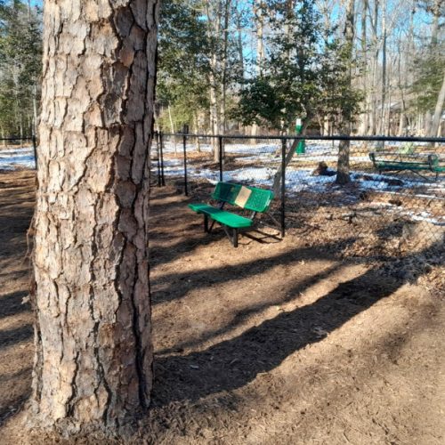green bench inside fenced dog park area in Pasadena Maryland