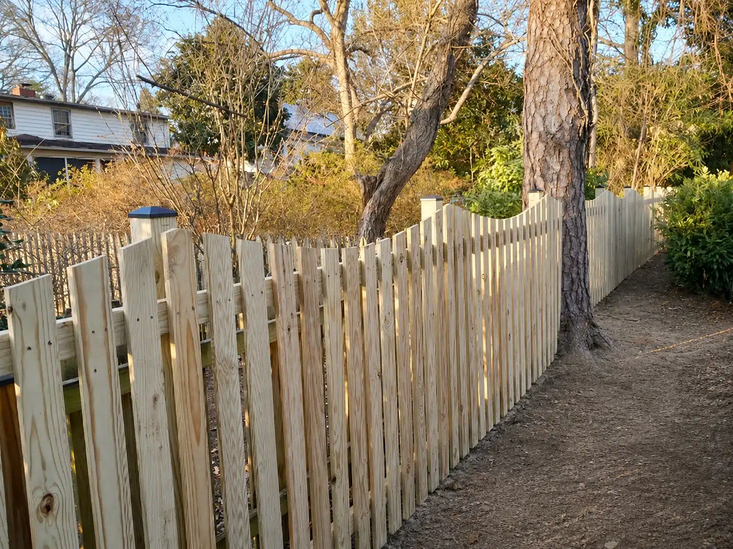 Pressure-treated scalloped wood picket fence installed around mature trees in Pasadena, MD.
