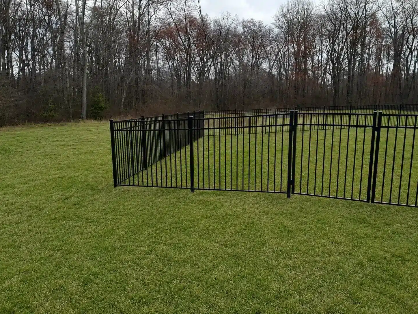 Residential black steel fencing enclosing a backyard corner with durable ornamental panels in Maryland.